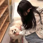 白猫计划国服下载